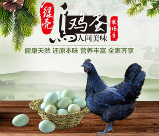 绿壳鸡蛋